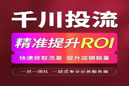 百度推广操作指南：案例解析